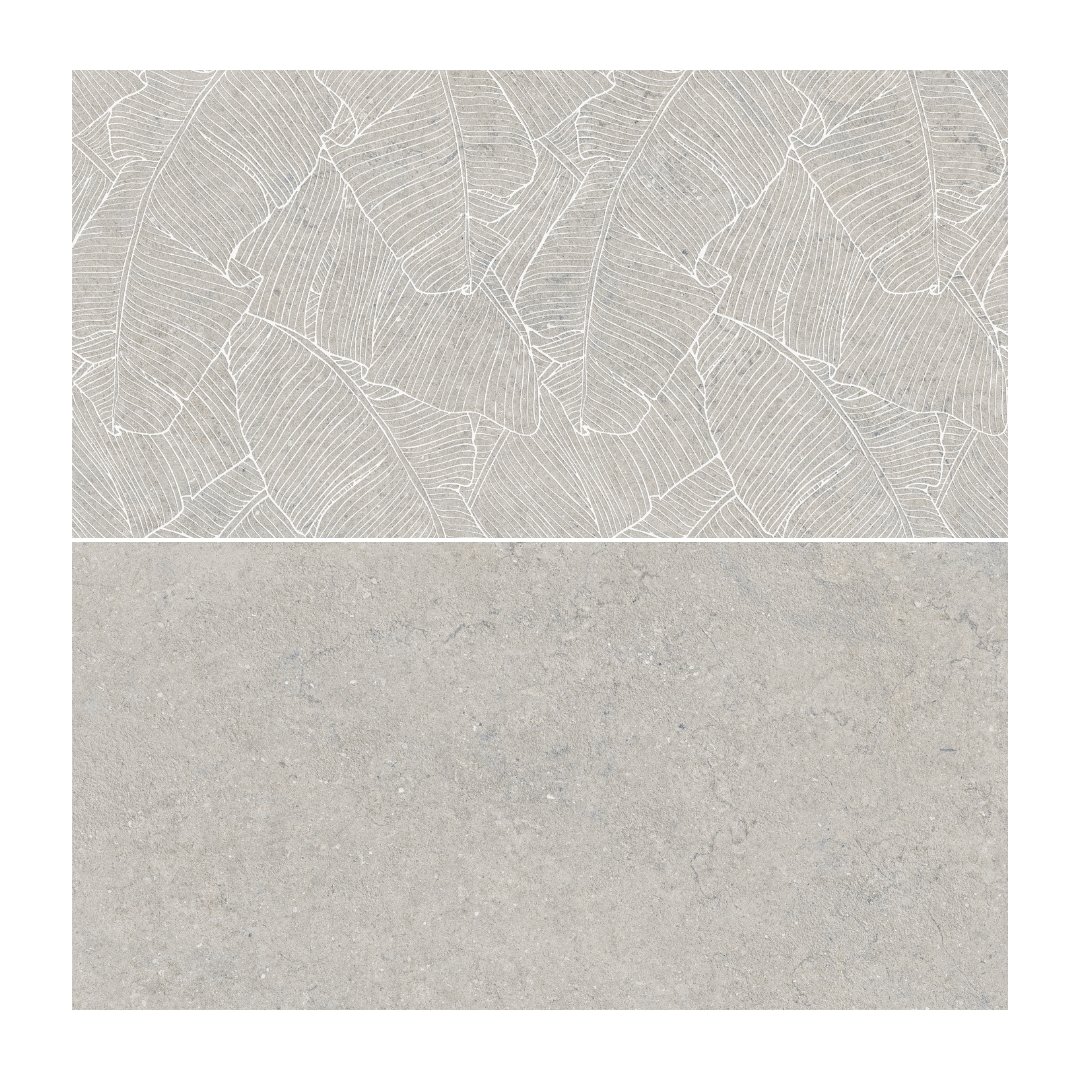 Accosto Gray